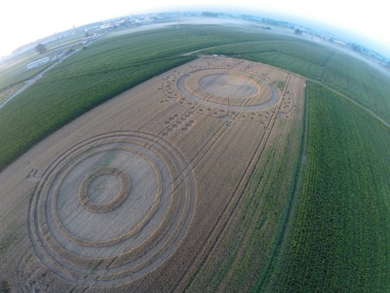 Illustration for article titled The Most Astonishing Crop Circle Artworks of 2014